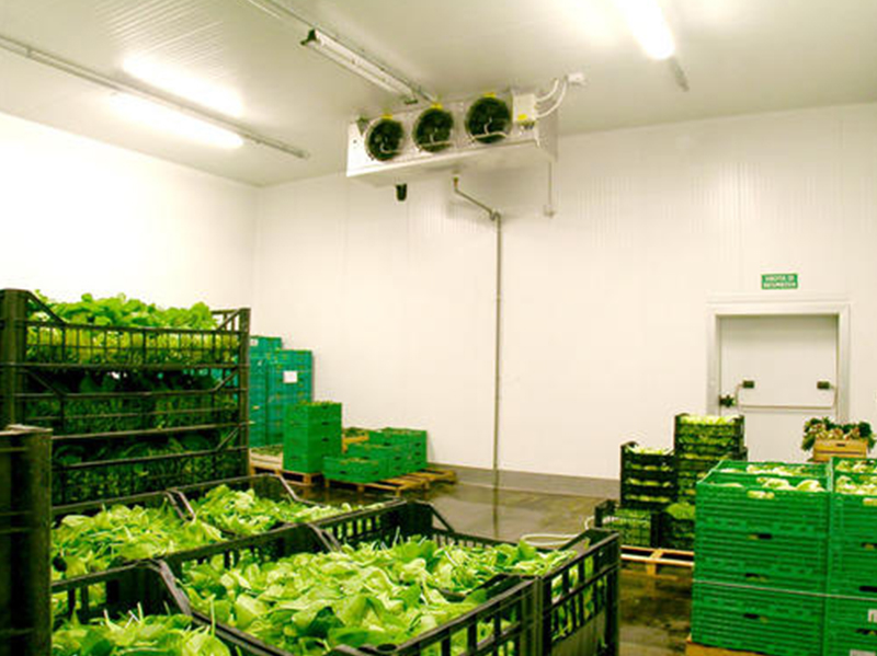 Fruit and vegetable cold rooms...